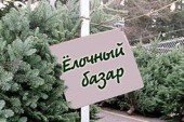 Елочный базар 2010