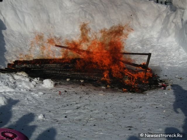 Сестрорецкая масленица 2011