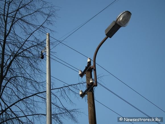 В Сестрорецке меняют сгнившие столбы на новые