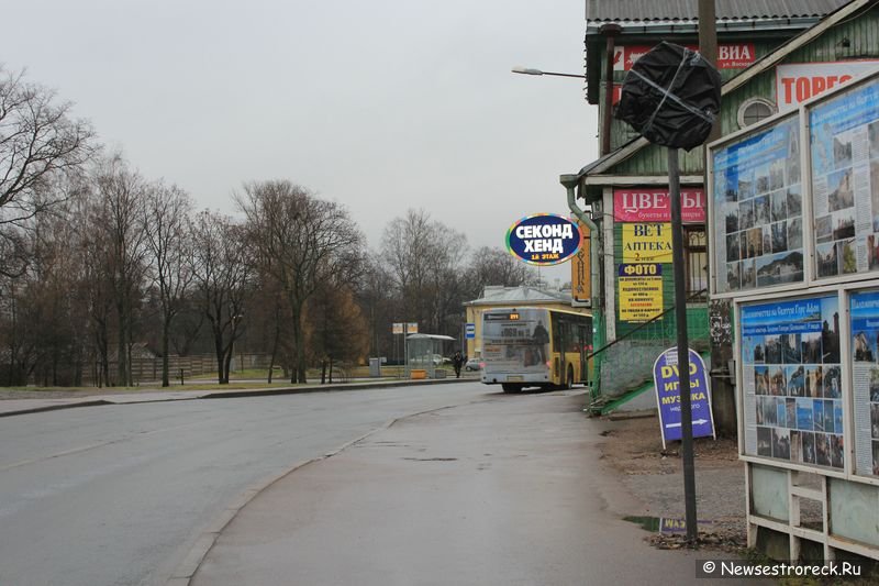 Автовладельцев ждут большие сюрпризы на улицах Сестрорецка