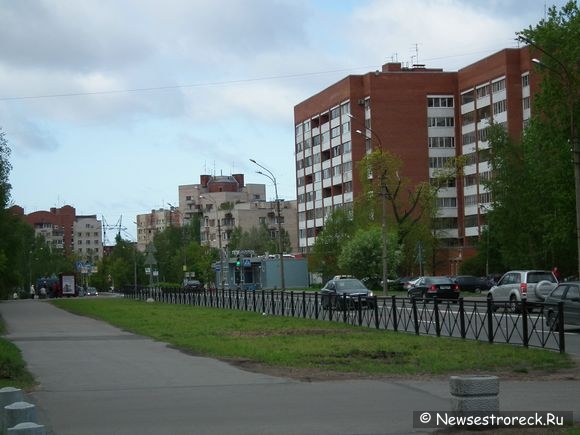 Активисты "Красивого Петербурга" вышли на общегородскую фотопрогулку