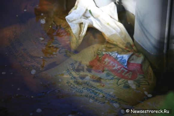 В р.Сестра вбивают шпунтовые сваи В р.Сестра вбивают шпунтовые сваи