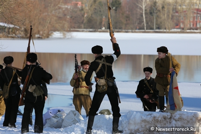 В Сестрорецке отметили День моряка-подводника 2014