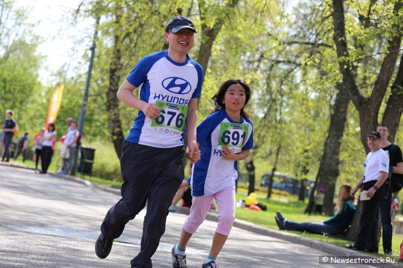 Сестрорецкий полумарафон 2014