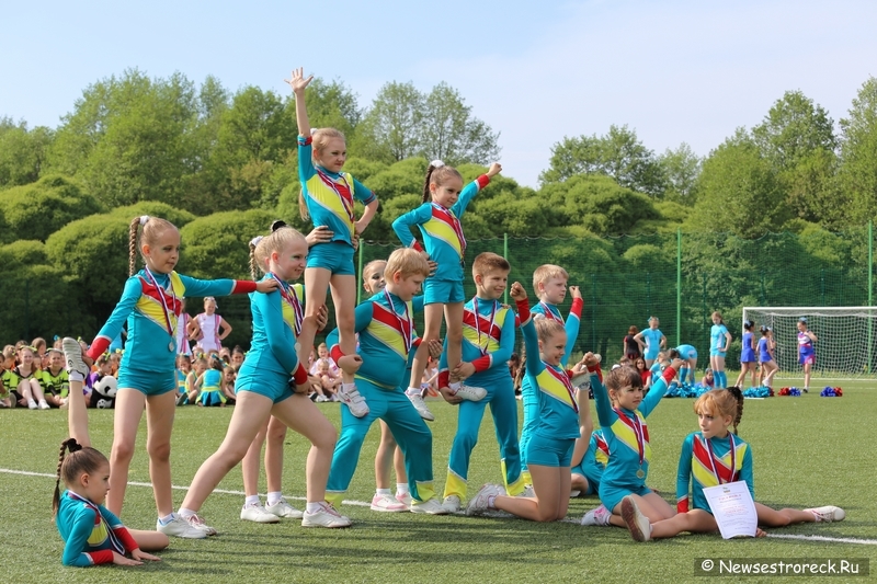 В Сестрорецке прошел открытый Кубок по черлидингу «CHEER OPEN»