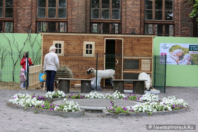 В Сестрорецке состоялось открытие «Петровского арсенала» В Сестрорецке состоялось открытие «Петровского арсенала»