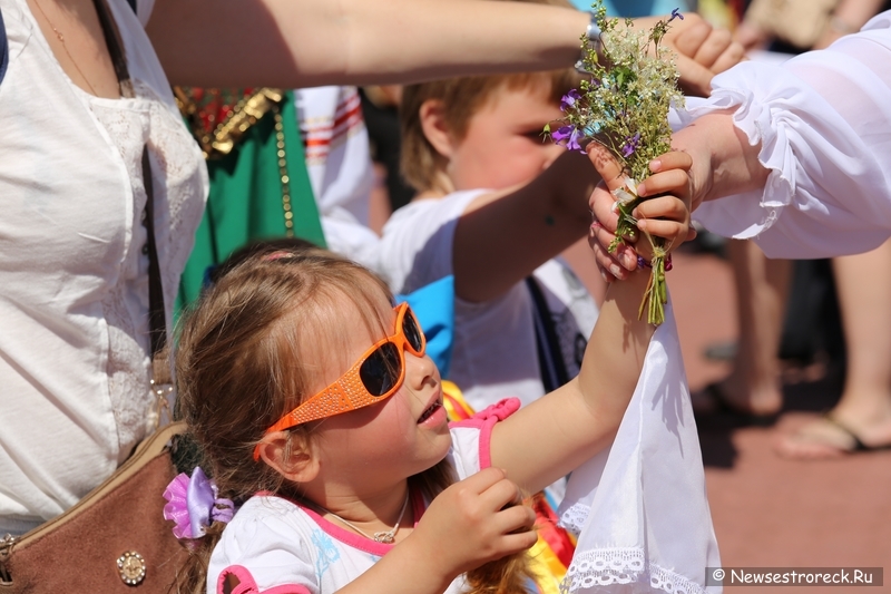 День семьи любви и верности 2014 в Сестрорецке