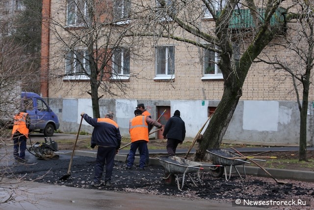 Благоустройства территории у дома 304 по Приморскому шоссе