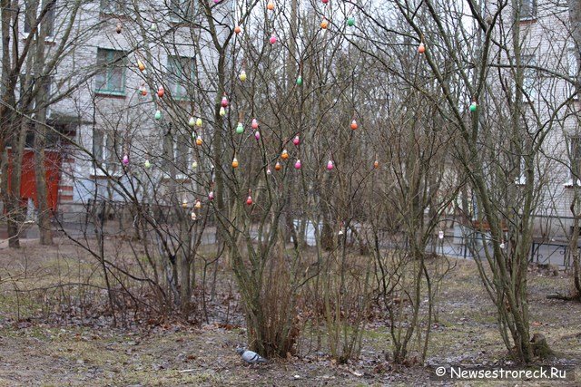 Во дворе дома 292 по Приморскому шоссе нарядили пасхальное дерево