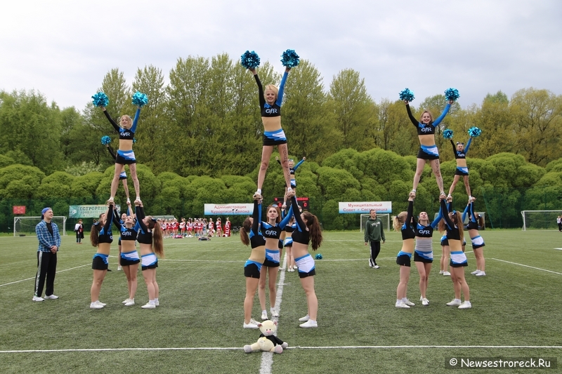 В Сестрорецке прошел открытый Кубок по черлидингу «CHEER OPEN - 2015»