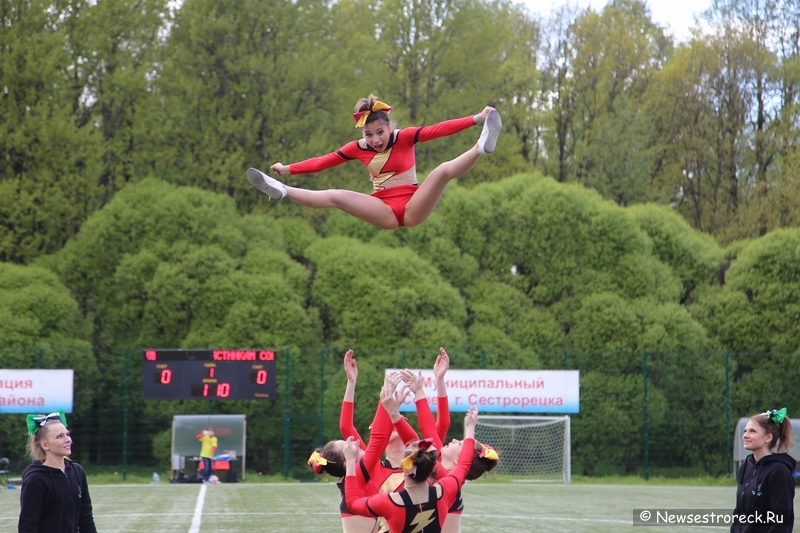 В Сестрорецке прошел открытый Кубок по черлидингу «CHEER OPEN - 2015»