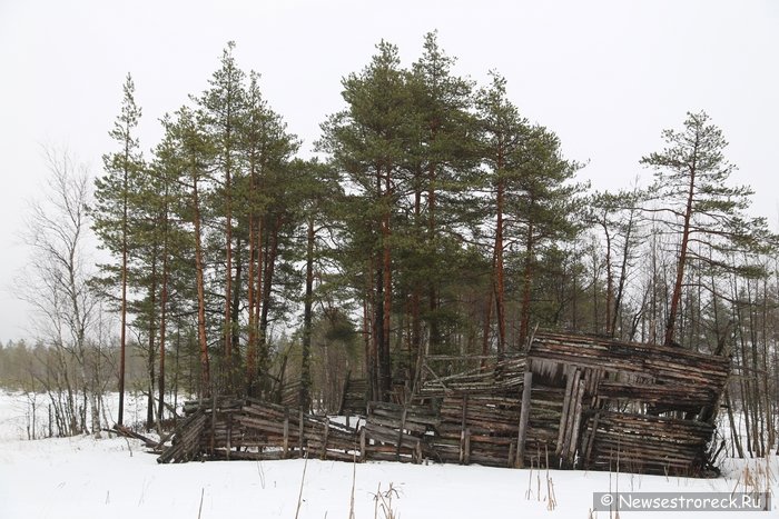Заброшенный остров-крепость на озере Болотное