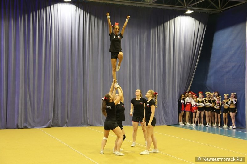 Турнир по черлидингу «CHEER OPEN - 2016» прошел в Сестрорецке