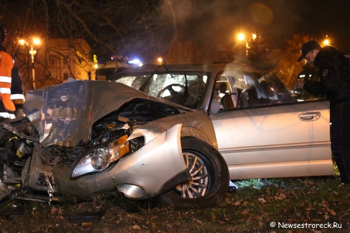 В Сестрорецке автомобиль «Субару» врезался в дерево