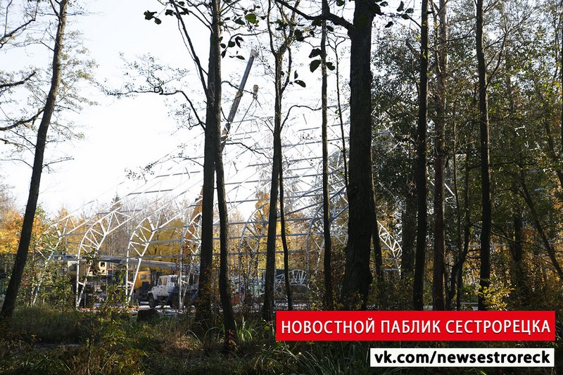 В парке «Дубки» в Сестрорецке незаконно строят навес над кортом