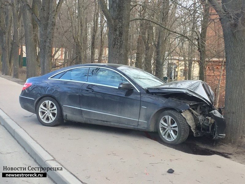 В Сестрорецке Mercedes врезался в дерево