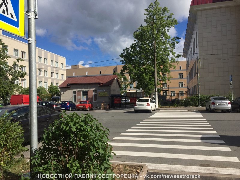 Пешеходный переход возле поликлиники в Сестрорецке оборудовали по поручению Беглова