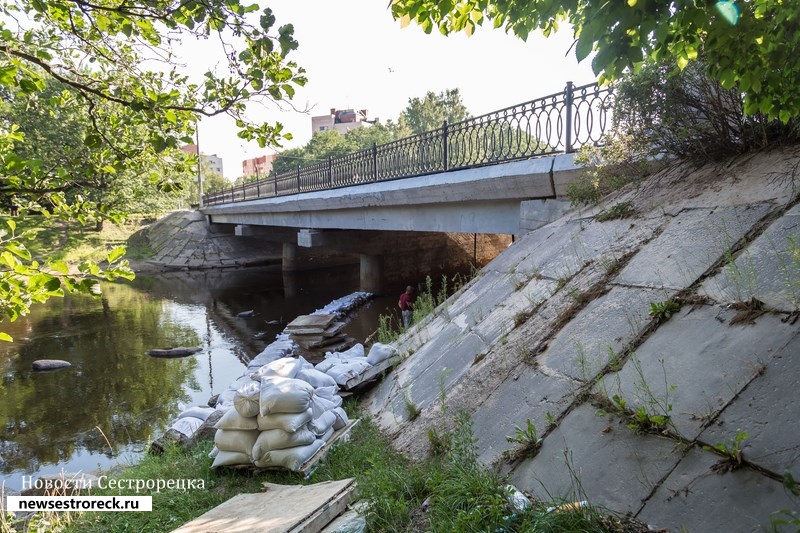 У Литейного моста в Сестрорецке утонула женщина